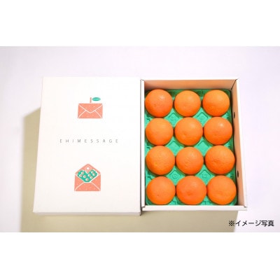 【発送月固定定期便】高級柑橘定期便【H33−42】全3回【4053141】