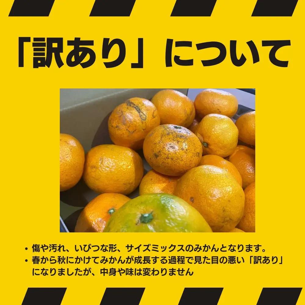 【訳あり】有田みかん 約10kg 家庭用