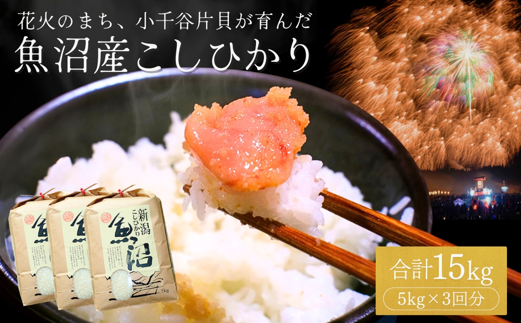【令和7年産】魚沼産コシヒカリ 15kg (5kg×3袋) 米萬商店 | 新潟県産 白米 精米 産地直送 小分け 四尺玉花火の町 片貝産 老舗米屋の厳選米【0002-KM10-01】