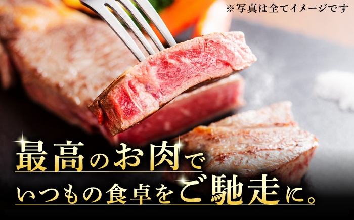 飛騨牛 サイコロステーキ 霜降り 赤身 牛肉 和牛 国産 牛 ブランド牛