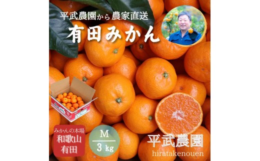 
                  農家直送！有田みかん（3kg Mサイズ 秀品）平武農園　～蛍飛ぶ町から旬の便り～
                
