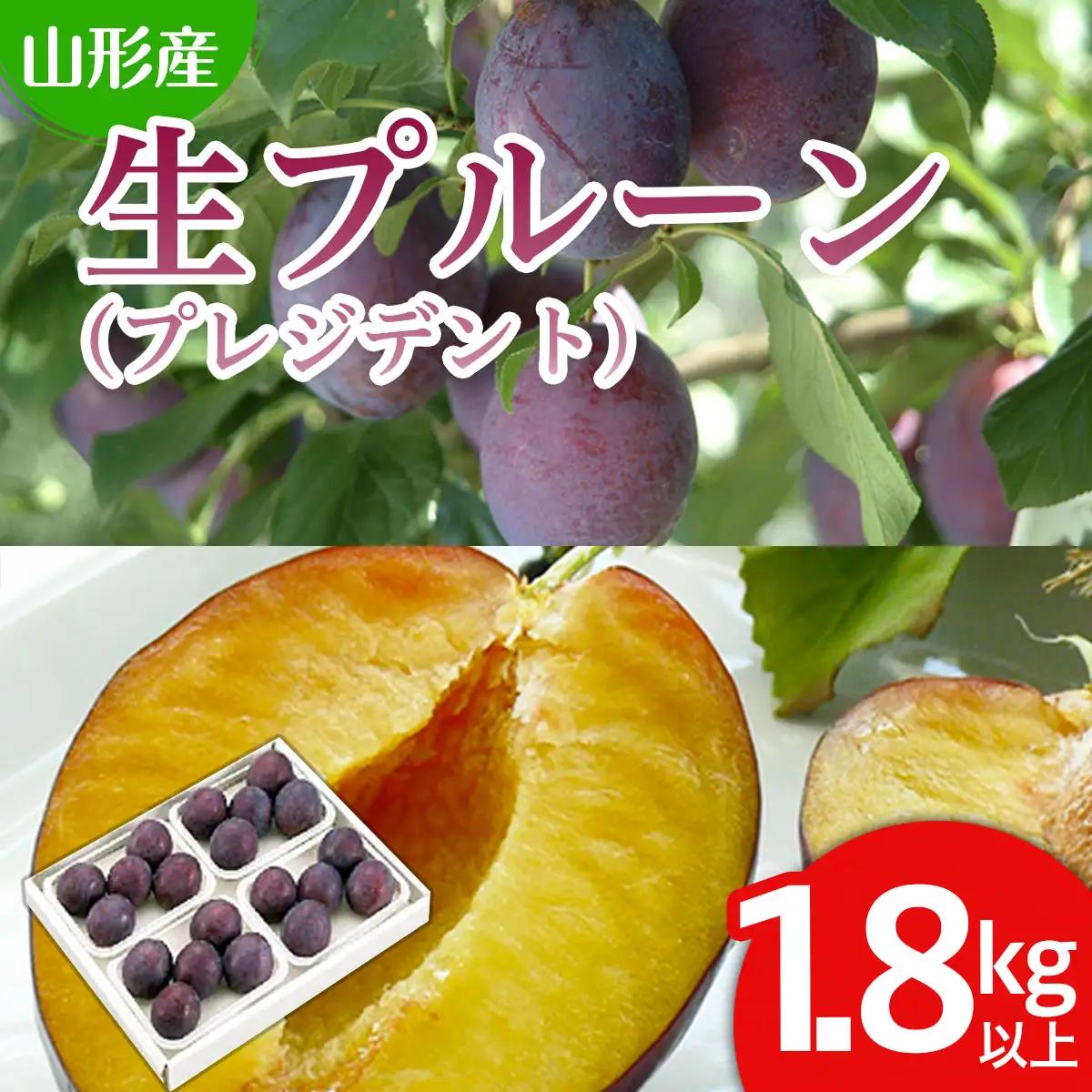 山形の生プルーン(プレジデント)1.8kg以上(450g×4パック) 【令和8年産先行予約】FS24-654くだもの 果物 フルーツ 山形 山形県 山形市 2026年産