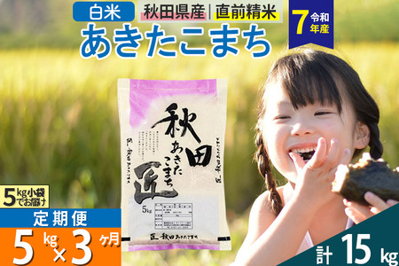 【白米】＜令和7年産＞ 《定期便3ヶ月》秋田県産 あきたこまち 5kg (5kg×1袋)×3回 5キロ お米  匠