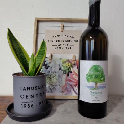 ふるさと納税 塩尻市 ヴォータノワイン醸造　TAMAI wineシャルドネ2025 750ml