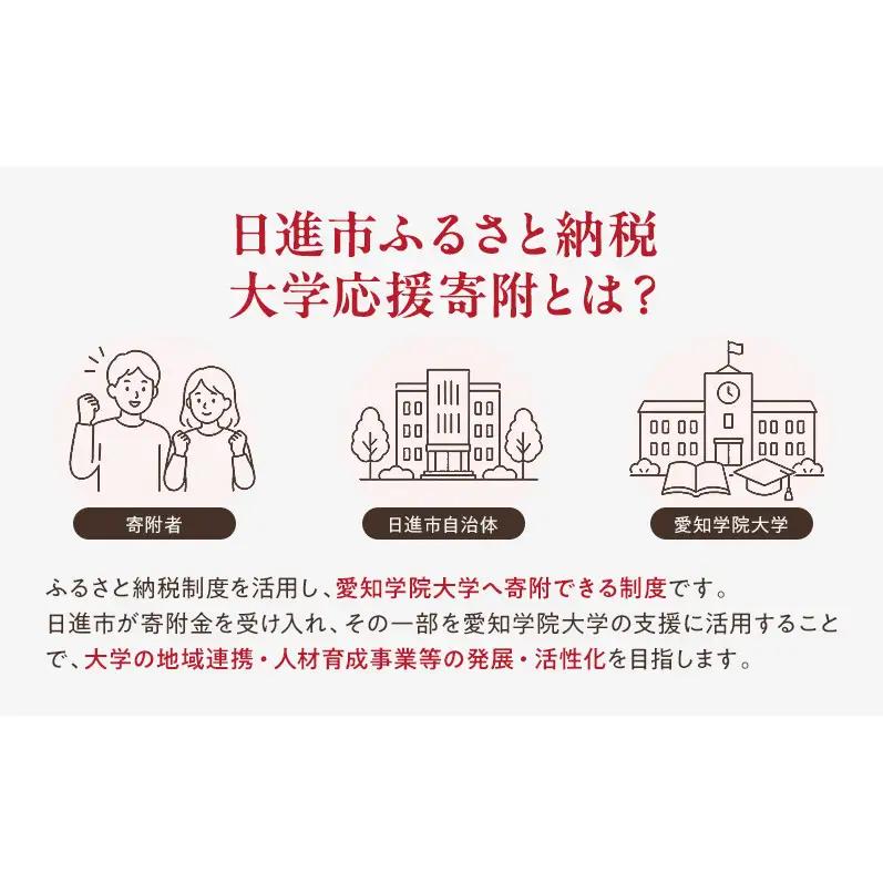 【返礼品なし】大学等連携事業補助制度 (愛知学院大学) 5,000円 大学 教育 教育支援 愛知県 日進市