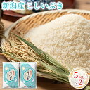 【ふるさと納税】新潟産こしいぶき 5kg×2　 お米 精米 白米 ご飯 ブランド米 銘柄米 ご飯 おにぎり お弁当 産地直送 　お届け：10月中旬より順次発送