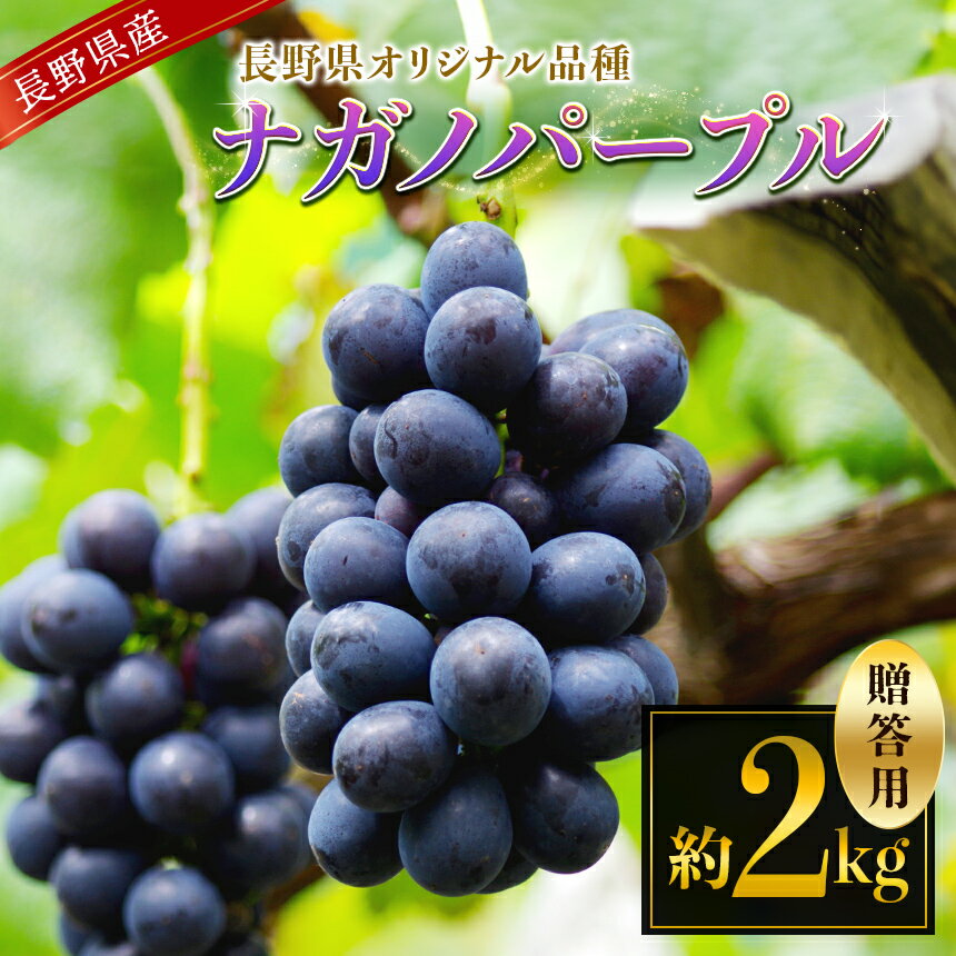 【ふるさと納税】【先行受付：2026年発送】ナガノパープル2kg贈答 | ふるさと納税 果物 ぶどう 葡萄 ナガノパープル フルーツ 贈答 美味しい 特別 長野県 松本市 信州