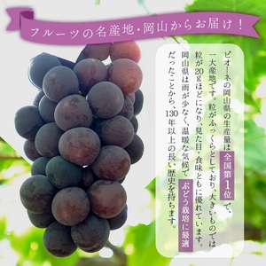 ＜2026年発送分 先行予約＞ピオーネ 1.2kg以上（2?3房）025-a022