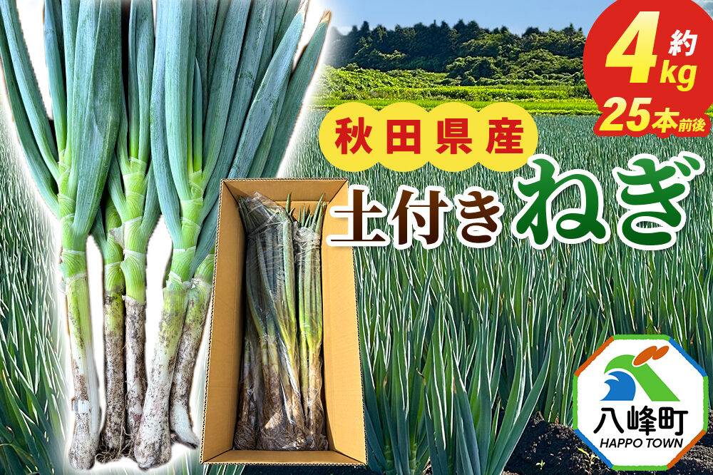 土付きねぎ 八峰町産 約4kg サイズいろいろミックス 25本前後 [産地直送 野菜 ネギ 白ねぎ 長ねぎ 秋田県産]
