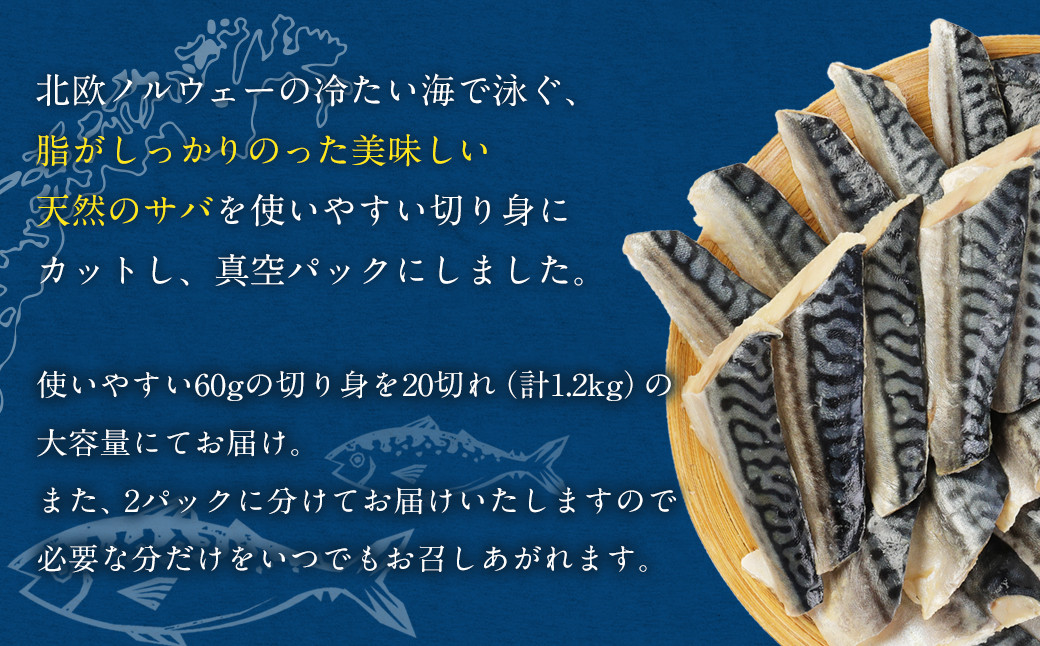 骨取り 天然 塩さば 切り身 10切×2パック 計1.2kg（真空パック入り）