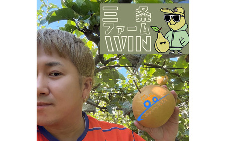 先行予約 和梨 新興 自家用 約5kg 令和7年度 [三条ファームWIN] 【010S841】