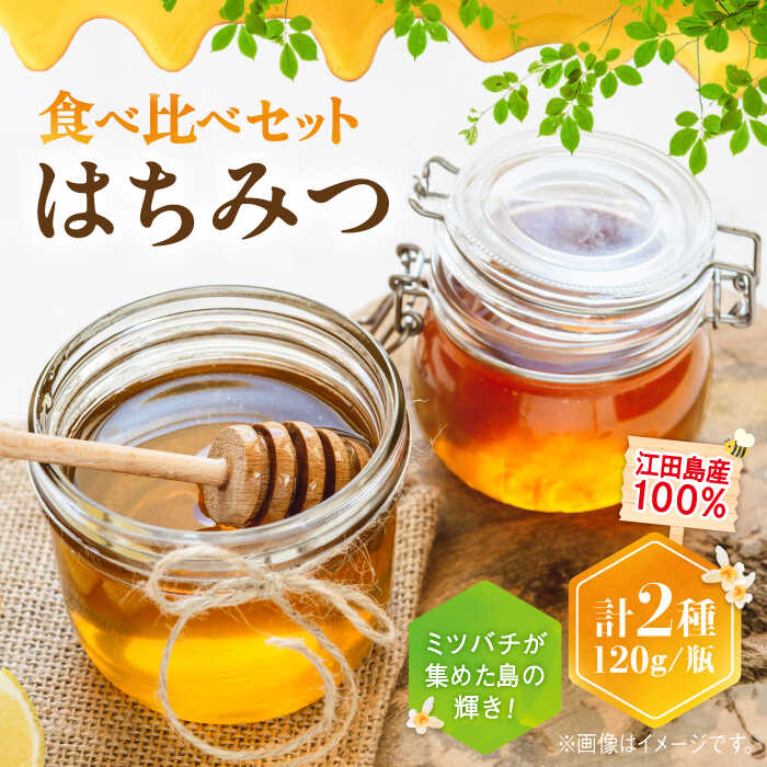 【ふるさと納税】江田島産100％ はちみつ 2種食べ比べセット（120g×3本） ハチミツ 蜂蜜 国産 広島 江田島市/はつはな果蜂園 [XCD007] ハチミツ 国産蜂蜜 国産はちみつ 純粋はちみつ 人気 常温 保存 備蓄 非常食 産地直送 食べ比べ