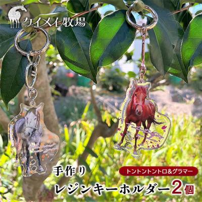 ふるさと納税 瀬戸内市 馬 たてがみ 尻尾 手づくり レジン キーホルダー 2個[No.5735-1919]