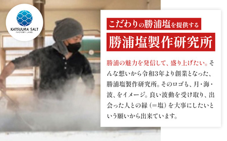 千葉県勝浦市 勝浦塩製作研究所の『満月の刻』45gと『新月の煌』45g 各5個セット【1463856】