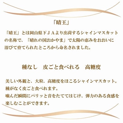 【2024年8月下旬より発送】岡山県産　シャインマスカット　晴王　700g×1房【配送不可地域：離島・北海道・沖縄県】【1366085】