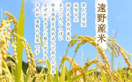【 無洗米 】お米 ひとめぼれ 10kg （ 5kg × 2袋 ） 令和7年産 一等米 精米 遠野産 五つ星 お米マイスター Prof. 厳選 【 コメマルシェ 河判】おこめ 白米 精米 SDGs 岩
