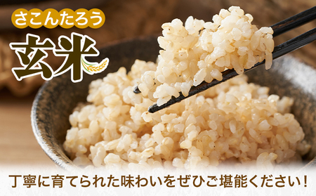 玄米 10kg さこんたろう《90日以内に発送予定(土日祝除く)》熊本県 御船町 コメ おこめ ごはん 熊本県産