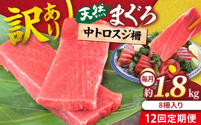 
            【全12回定期便】【訳あり】天然 本まぐろ 中トロ 計約1.8kg (8柵入り)マグロ  中トロ さしみ 刺身 お刺身 国産マグロ おすすめまぐろ 鮪 マグロ 魚 刺身 中とろ とろ トロ 訳あり 横須賀鮪 魚 横須賀【横須賀商工会議所 おもてなしギフト事務局（本まぐろ直売所 横須賀本店）】 [AKAK073]
          