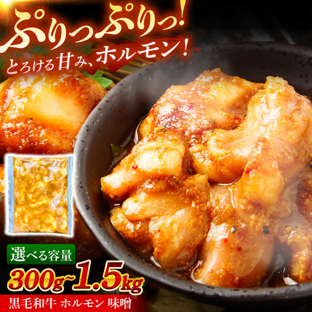 【ふるさと納税】【選べる容量】岐阜県産 黒毛和牛ホルモン 味噌 瑞浪市 / マルチョウ渡辺精肉店 和牛ホルモン 焼肉 炒め 国産[AZCW052]