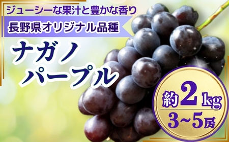 【2026年先行予約】ナガノパープル 約2kg(3~5房)｜ぶどう