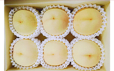 【桃定期便2回】 （岡山白桃 ・ 黄金桃） 【2026年7月上旬より発送開始】 ／ 桃 もも 果物 果実 フルーツ 旬 食べ比べ 定期便 岡山県 美咲町 冷蔵