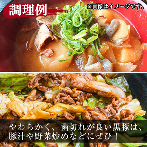 鹿児島県産 豚肉 黒豚 肩肉 切り落し (600g)【小迫ストアー】A650