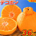 みかん 好き必見 ご家庭用 デコポン 生産量日本一 熊本 県産 約 3.6kg （約9‐18玉前後） 柑橘 個別光センサー選果 柑橘 フルーツ 旬 不知火 でこぽん ご家庭用 早期予約 《2024年1月下旬-4月末頃出荷》