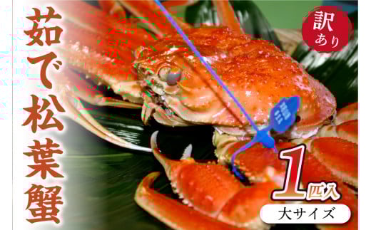 （訳あり）ボイル 松葉ガニ 姿／日本海産／日本海産 ブランド蟹　茹で松葉蟹 【訳あり】大サイズ　matubakani900　ズワイガニ 松葉ガニ 国産 カニ かに 蟹 松葉ガニ 訳あり ボイル 茹で松葉蟹 高級 自宅用 天然 冬の味覚 冷蔵 まるごと 京都 丹後 ズワイガニ姿　SS00081