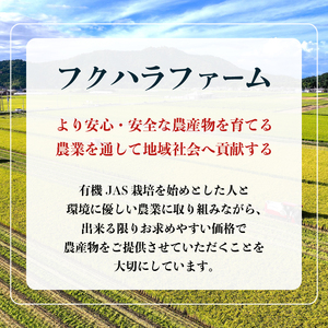 ミルキークイーン 5kg 有機JASオーガニック 令和7年産新米 ミルキークイーン ミルキークイーン