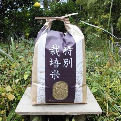 ふるさと納税 上郡町 【栽培期間中農薬不使用】『タガメの里・自然米』2025年産「にこまる」玄米5kg |  | 01