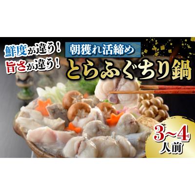 ふるさと納税 下関市 朝獲れ活締め! とらふぐ ちり鍋 ふぐ皮とヒレ付き てっちり 下関 山口FG016