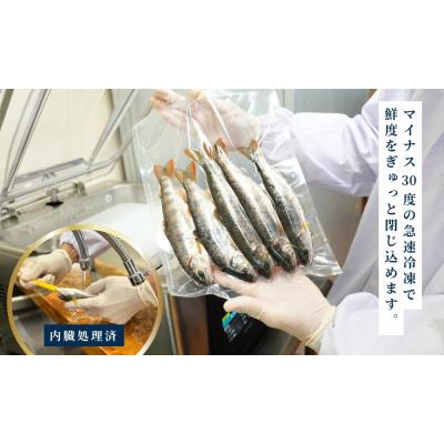 ふるさと納税 梼原町 四万十川源流域の清流で育ったゆすはらアメゴ(9匹入り) |  | 02