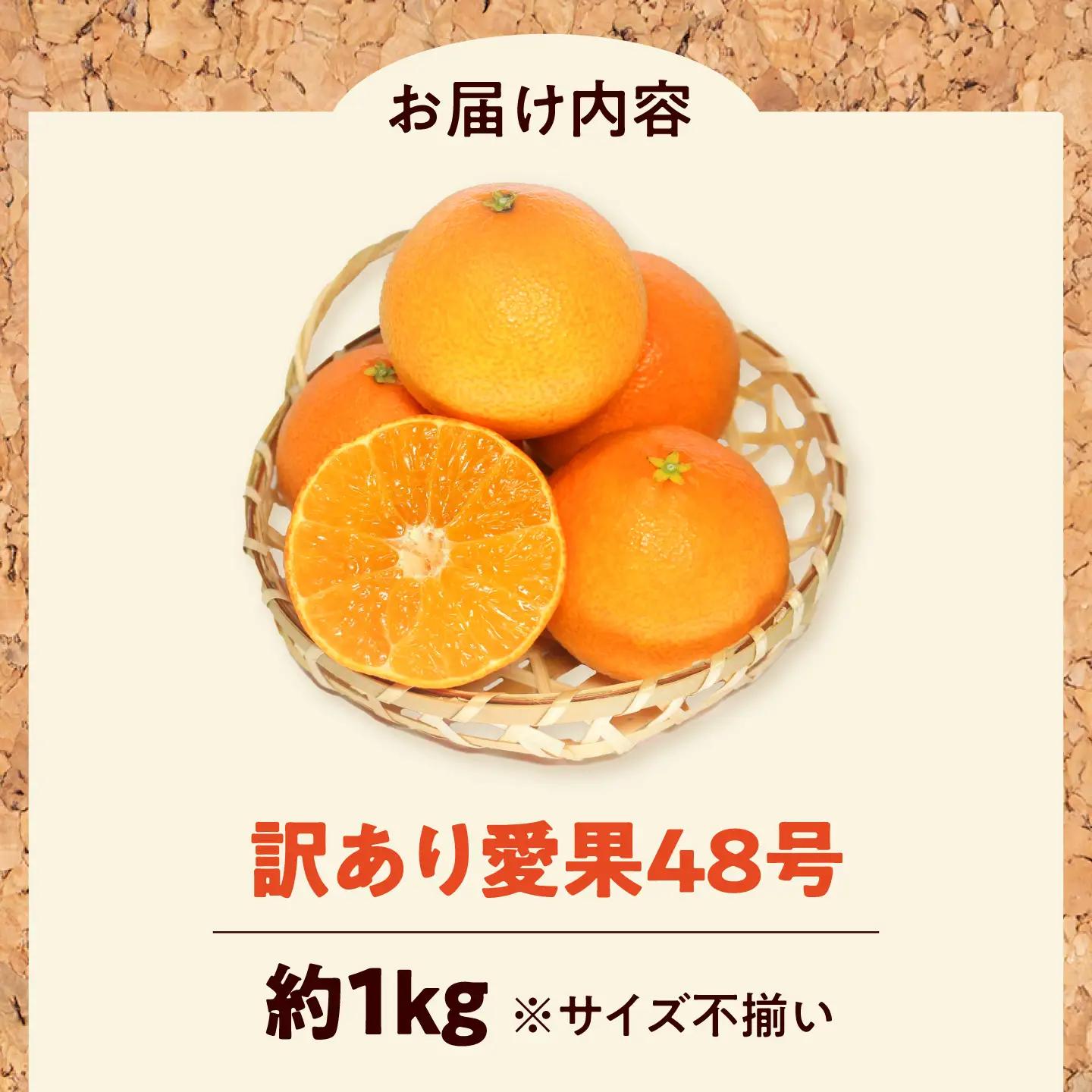 みかん 訳あり 愛果48号 約1kg サイズ不揃い みかん BJAZ012 