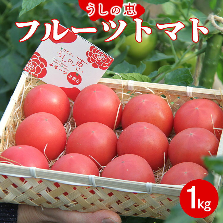 【ふるさと納税】数量限定 うしの恵 フルーツトマト 籠入り 約1kg - 野菜 とまと 美味しい 料理 期間限定 フルーツ トマト 送料無料 産地直送 完熟トマト とまと ギフト 贈り物 贈答用 のし 熨斗 季節品 高知県 香南市【常温】