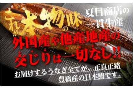 豊橋うなぎ 蒲焼カット 500g 夏目商店 うなぎ