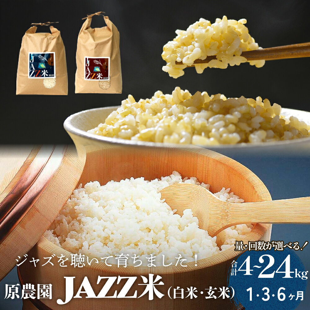 【ふるさと納税】【令和8年産】原農園 JAZZ米 白米 玄米 4kg -10kg 1回 3回 6回 選べる 定期便 ジャズ米 ジャズ ひのひかり 米 お米 こめ コメ ご飯 ヒノヒカリ 常温 大分県 大分 玖珠町 玖珠
