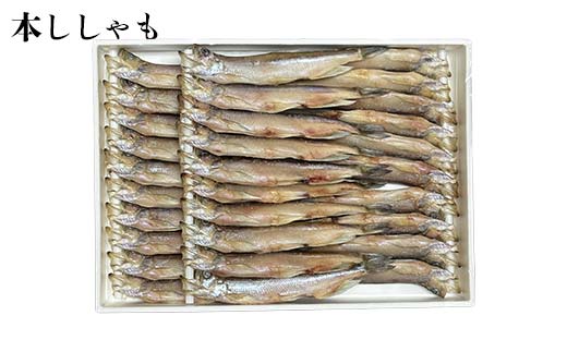 【3か月連続定期便】 トキシラズ 紅鮭 本ししゃも 焼き魚定期便 小分け 冷凍 北海道産 魚介 海鮮 魚 鮭 紅鮭 さけ サケ しゃけ シャケ 時鮭 時知らず ときしらず ししゃも ご飯のお供 ご飯 