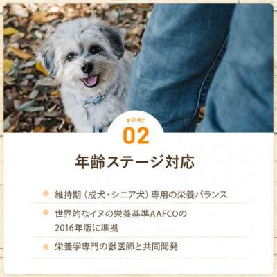 ふるさと納税 薩摩川内市 【12ヶ月定期便】 Buddy FOOD 03　豚もも×6パック×12回 バディフード JS-311 |  | 03
