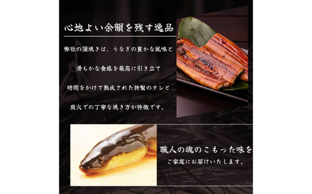 高知県産 うなぎ 長蒲焼1尾 約180g×1 1〜2人前/ 鰻 ウナギ 土用丑の日 高知産 うなぎ 【土佐黒潮水産】[ATCQ011]
