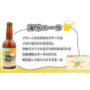蒲原エール 3本 & 蒲原へイジー3本 計6本セット (キーホルダー栓抜き付き) HORSEHEAD LABS クラフトビール ご当地ビール 地ビール お酒 ビール◇