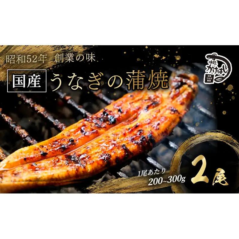 うなぎ 国産 手焼き蒲焼き タレ付き うなぎ【2尾 各200〜300g】【冷凍】