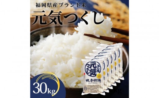 新米！！令和7年産 福岡県産米 元気つくし 合計30kg ( 5kg×6袋 )