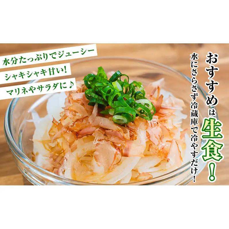 【2026年夏発送】富良野産 白玉ねぎ 雪景色 約5kg （約15～25玉）新玉ねぎ 野菜 甘い 新鮮 直送 玉ねぎ 玉葱 サラダ 北海道 富良野 幕田農園