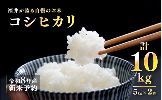 【先行予約】【2026年11月以降順次発送予定】令和8年産 新米 コシヒカリ 10kg（5kg×2袋） [C-10113] /  コメ 米 お米 精米 ご飯 ごはん こしひかり 米農家 福井県産 福井県鯖江市