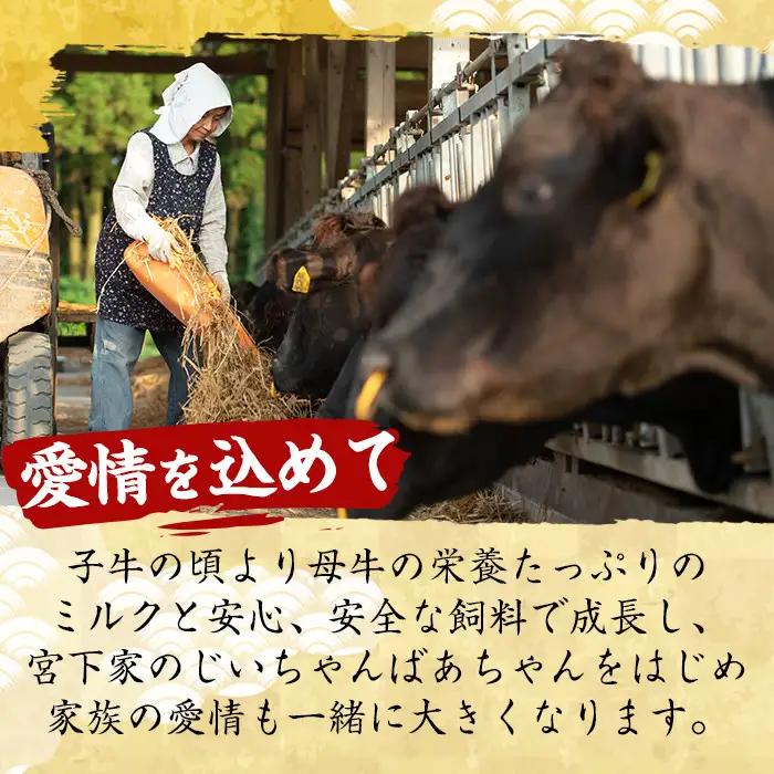 No.606 鹿児島県産黒毛和牛すきしゃぶ用ロース肉(600g)国産 九州産 牛肉 黒毛和牛 和牛 ロース スライス 数量限定 すき焼き しゃぶしゃぶ 冷凍【さつま屋産業】