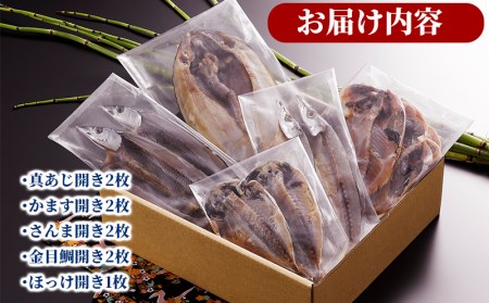 ひもの 5種 9枚 ひもの 詰め合わせ