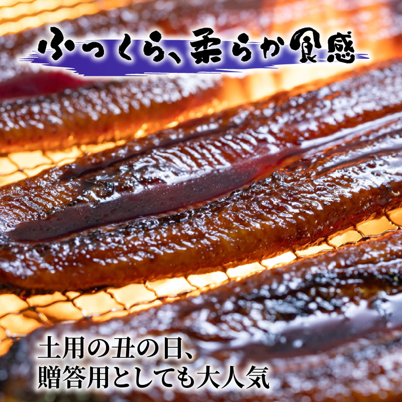 【通常用】【2回定期便】極上国産うなぎ四万十桜　蒲焼き約210g✕2尾|うなぎ 鰻 蒲焼き 定期便 国産 四万十鰻 白焼き 調理済み タレ付き 頒布会 ギフト（お歳暮/お正月）高級 お取り寄せ グルメ
