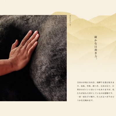 飛騨牛 サーロインブロック 5kg【配送不可地域：離島】【1622929】