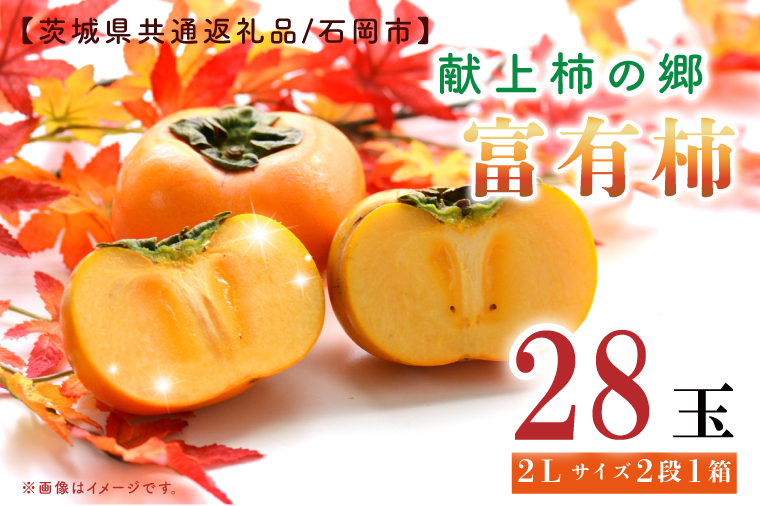 【11月中旬より発送】献上柿出荷組合の富有柿2L 28玉【茨城県共通返礼品／石岡市】【柿 かき カキ フルーツ 果物 くだもの 八郷柿 ふるさと納税  水戸市 茨城県】（GP-3-3）