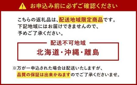 【2回定期便】 うるう農園のあまおう サイズ色々2パック（計約570g） 【2026年3月上旬～4月下旬発送予定】 あまおう いちご 苺 果物 フルーツ 定期便 冷蔵 福岡県 太宰府